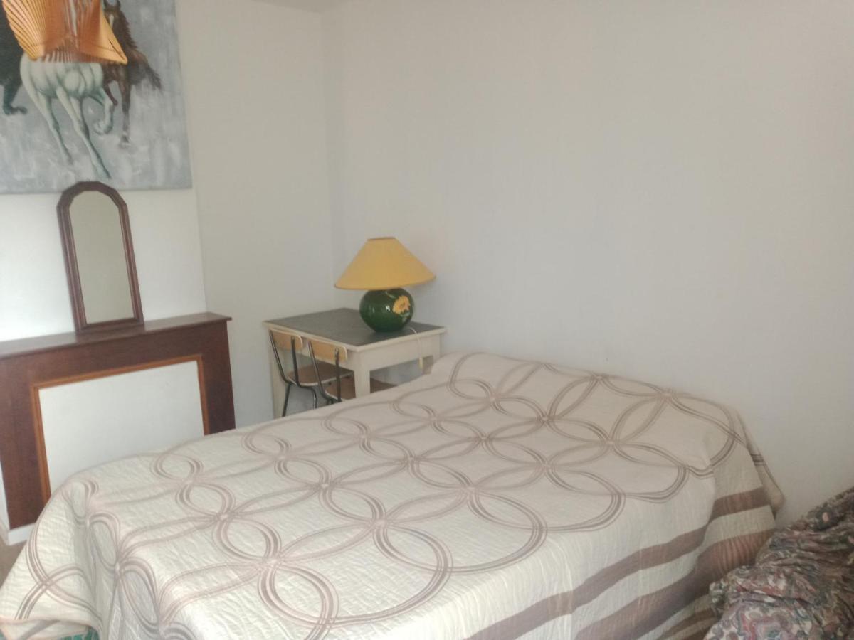 Appartement Du Jardin 圣艾菲力克 外观 照片